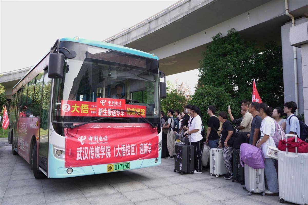 2017白菜网址大全